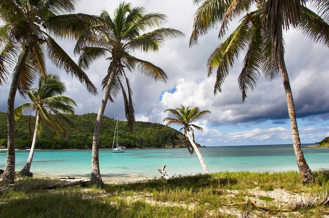 iles grenadines, voyage antilles